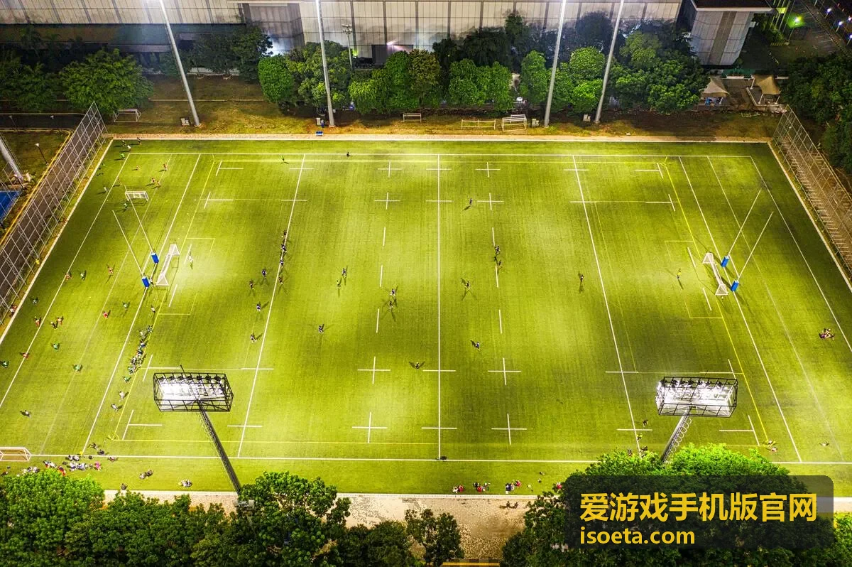 爱游戏手机版官网活动玩法攻略：限时关卡通用解法