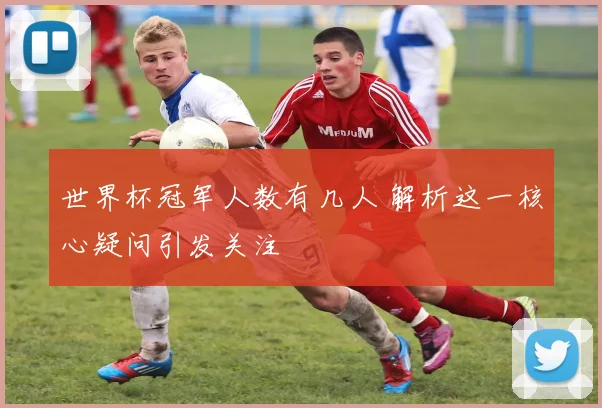 世界杯冠军人数有几人 解析这一核心疑问引发关注