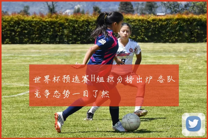 世界杯预选赛H组积分榜出炉 各队竞争态势一目了然